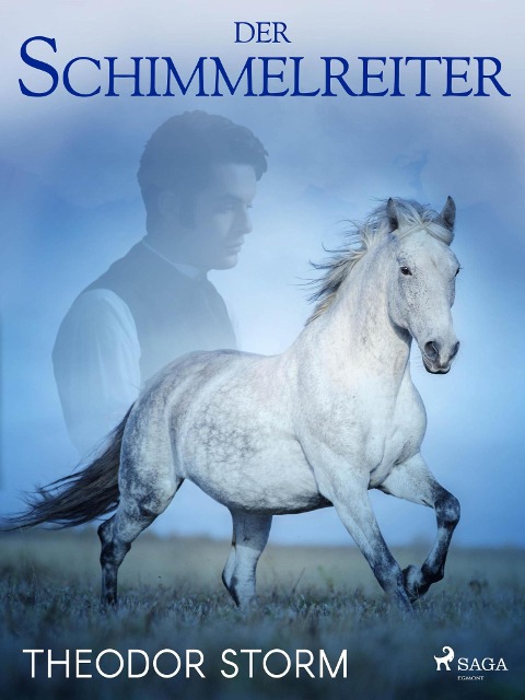 Der Schimmelreiter - Theodor Storm