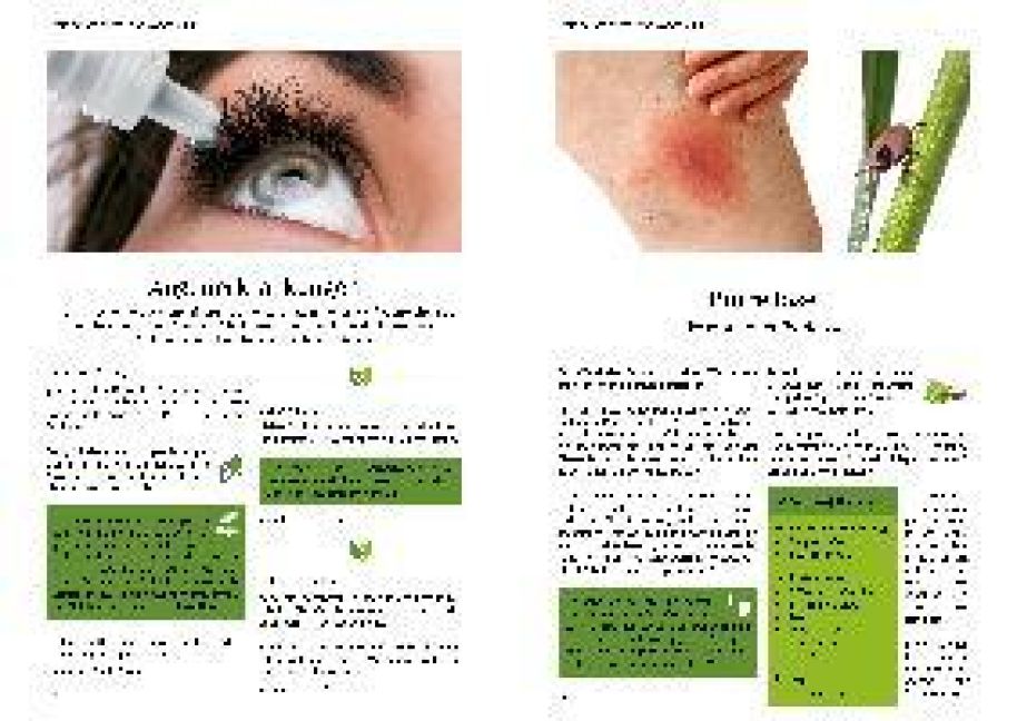 InsideView 6