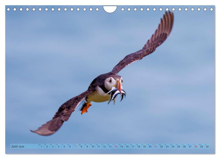 InsideView 11