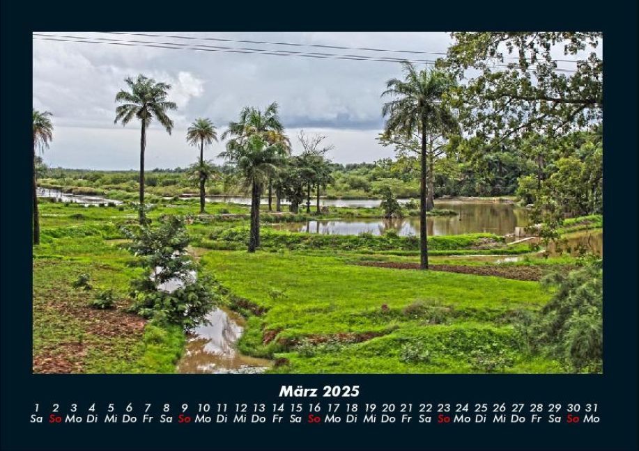 InsideView 7