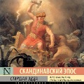 Cover-Bild zum Titel 'Starshaya Edda' von 'Collection'