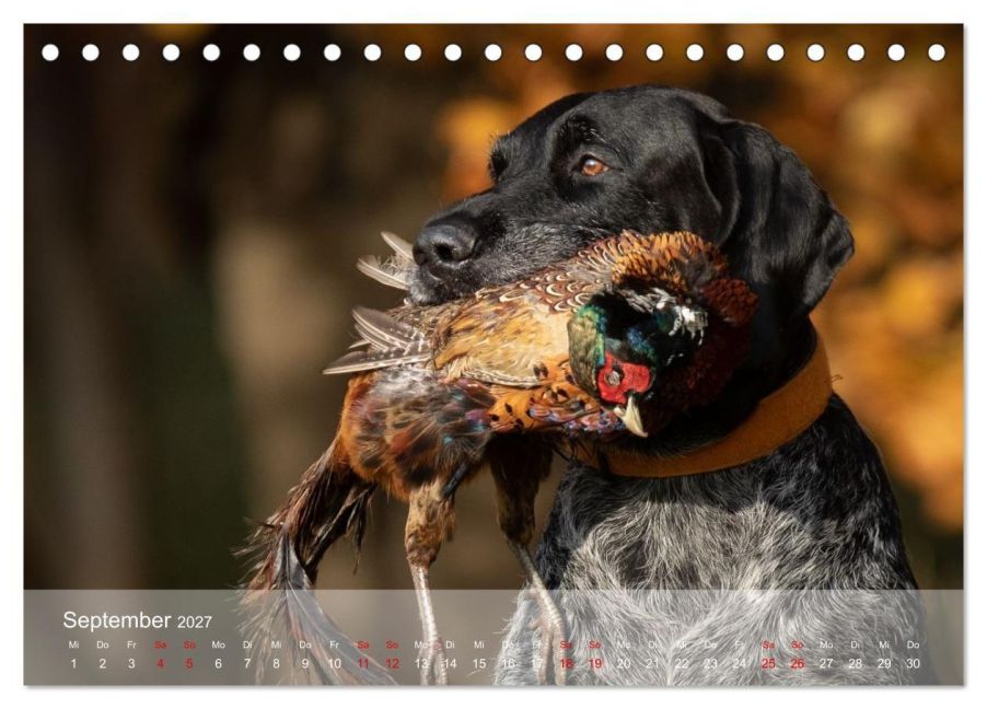 InsideView 14