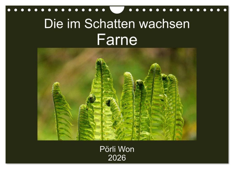 Die im Schatten wachsen - Farne (Wandkalender 2026 DIN A4 quer), CALVENDO Monatskalender - Pörli Won