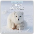 Snow Animals - Arktische Tiere 2025 - 16-Monatskalender - Robin Red