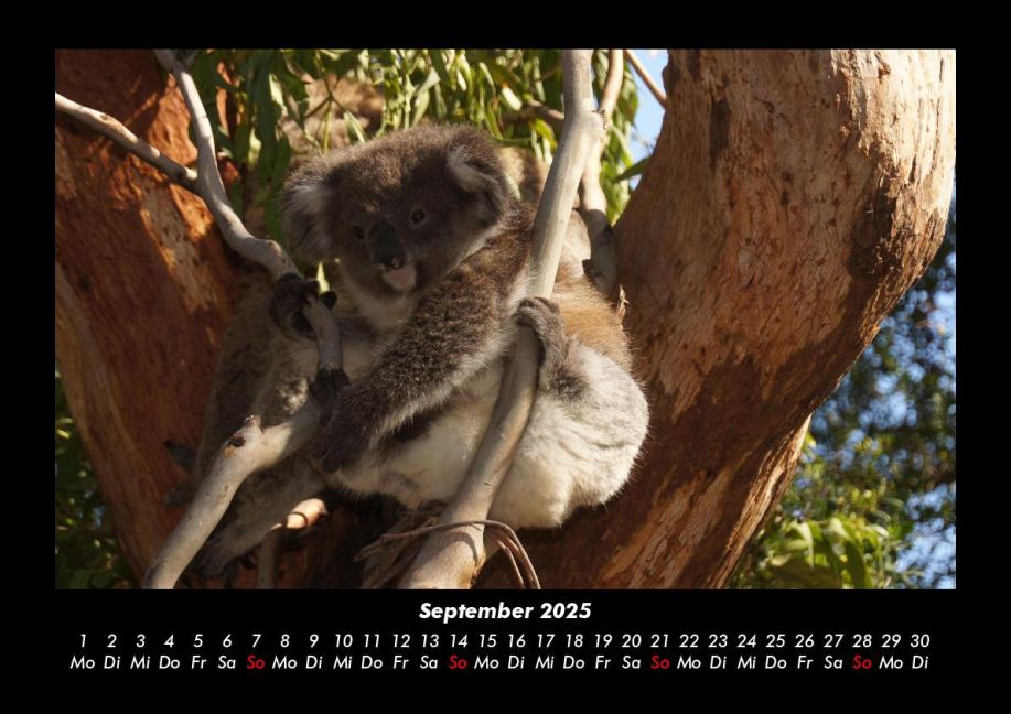 InsideView 1