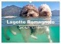 Lagotto Romagnolo Splash Edition (Wall Calendar 2024 DIN A3 landscape), CALVENDO 12 Month Wall Calendar - Petra Saf Photography