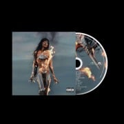 Cover-Bild zum Titel 'Wildfire' von 'Loreen'