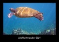 Schildkrötenzauber 2024 Fotokalender DIN A3 - Tobias Becker