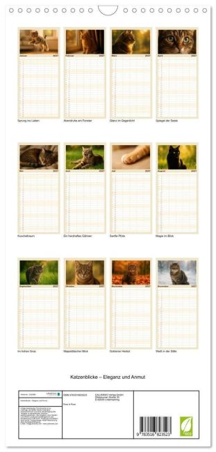 InsideView 4