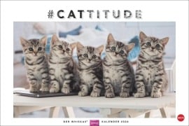 Whiskas Katzenkalender 2026 - 