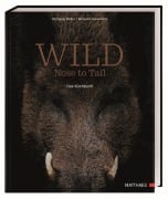 Wild - Wolfgang Müller, Benjamin Haverkamp