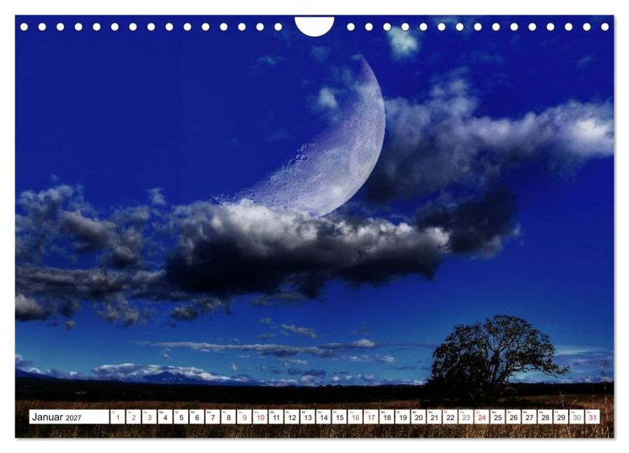 InsideView 6