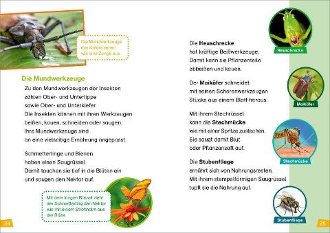 InsideView 3