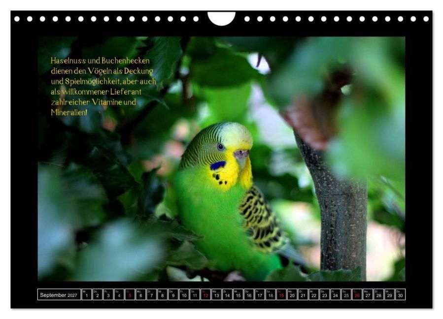 InsideView 14