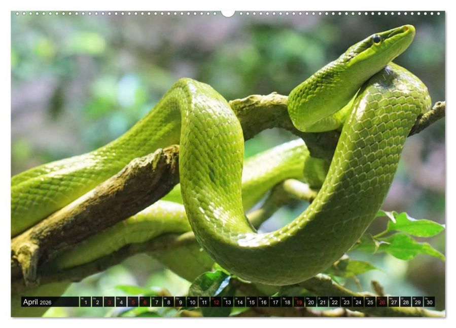InsideView 9