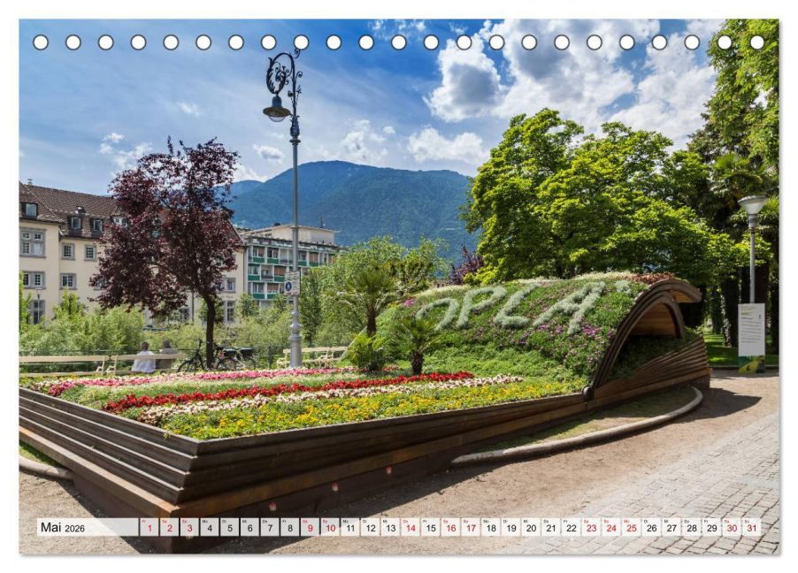 InsideView 10