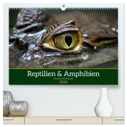Reptilien & Amphibien Portraits (hochwertiger Premium Wandkalender 2026 DIN A2 quer), Kunstdruck in Hochglanz - Klaus Vartzbed