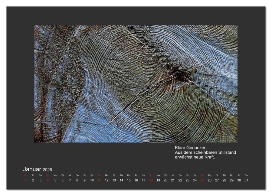 InsideView 6