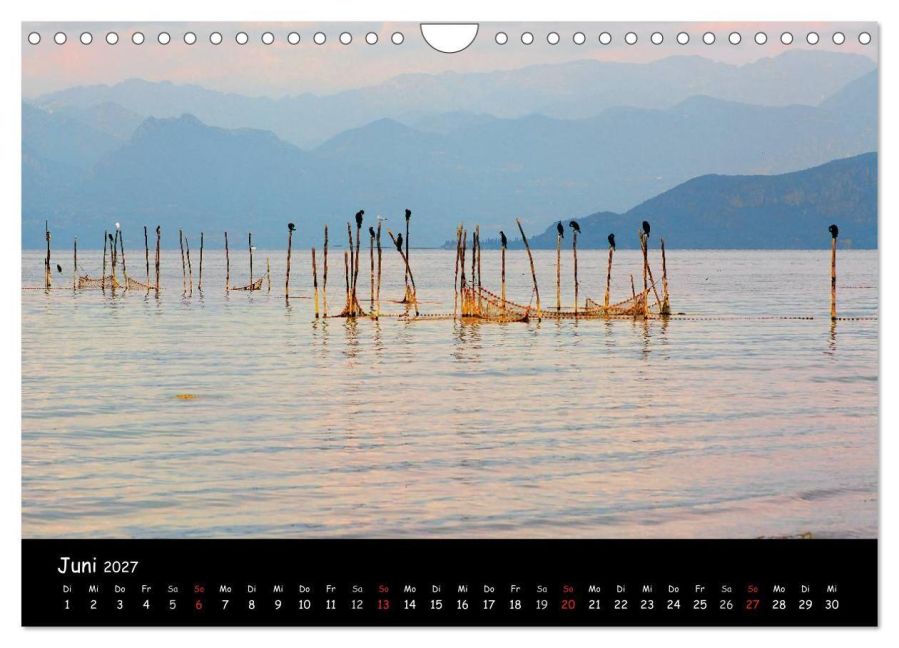 InsideView 11