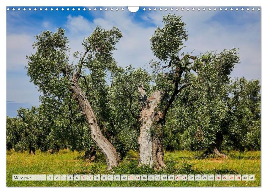 InsideView 8
