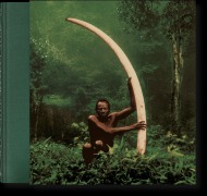Cover-Bild zum Titel 'Peter Beard' von 'Peter Beard'