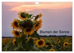 Blumen der Sonne (Wandkalender 2025 DIN A4 quer), CALVENDO Monatskalender - Nne Käfer-Naumann