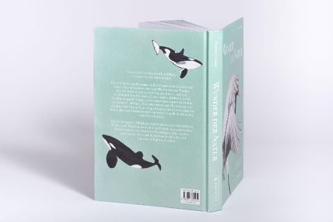 InsideView 5