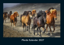 Cover-Bild zum Titel 'Pferde Kalender 2027 Fotokalender DIN A4' von 'Tobias Schmitt, Kevin Heber'
