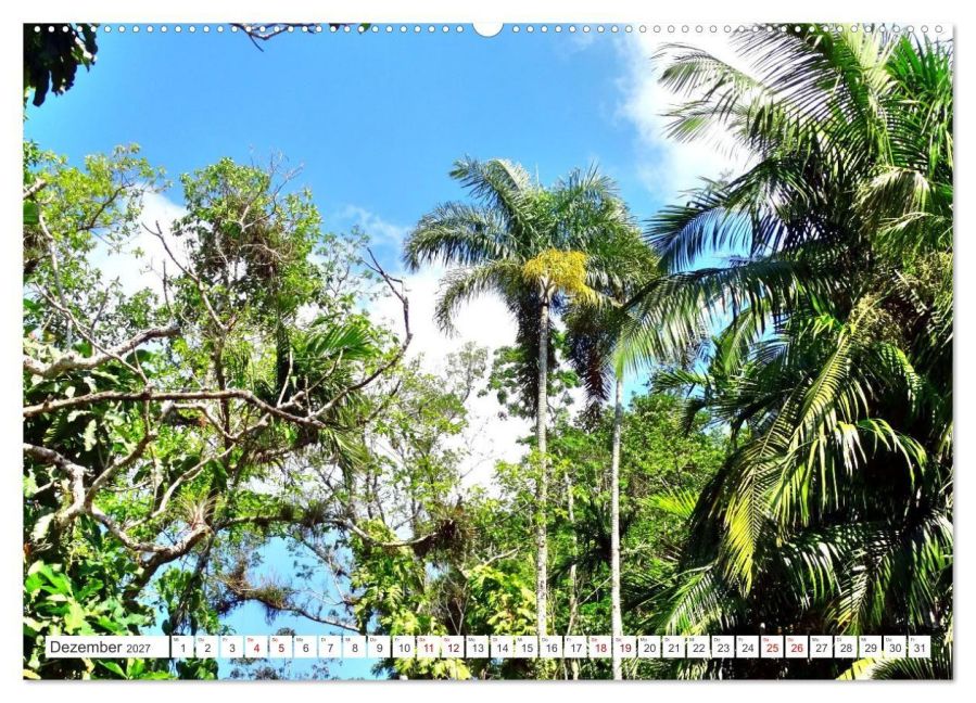 InsideView 3