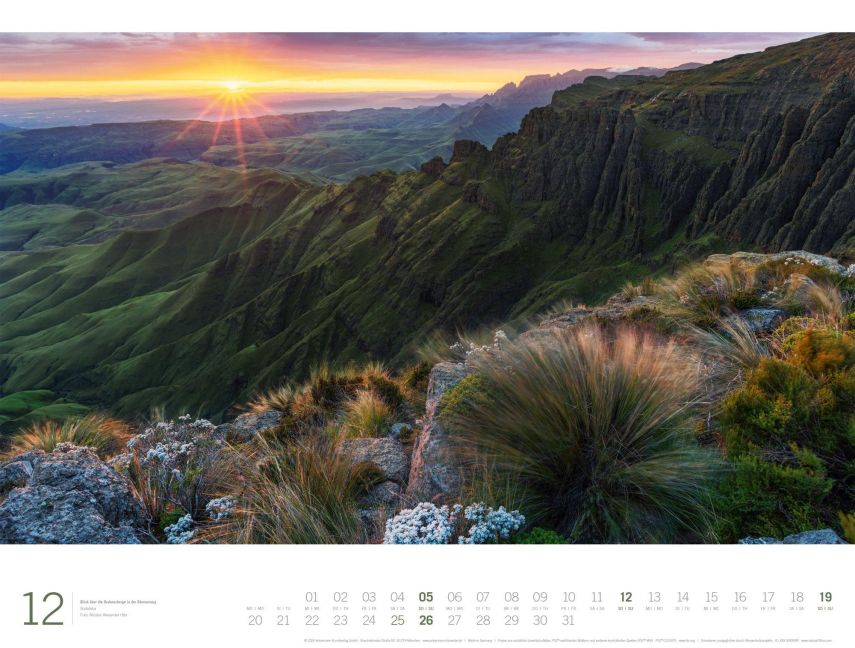 InsideView 12