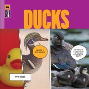 Cover-Bild zum Titel 'Ducks' von 'Kate Riggs'