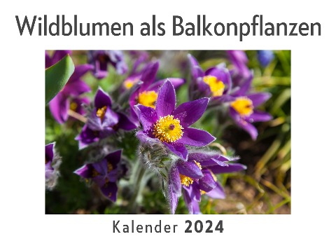 Wildblumen als Balkonpflanzen (Wandkalender 2024, Kalender DIN A4 quer, Monatskalender im Querformat mit Kalendarium, Das perfekte Geschenk) - Anna Müller