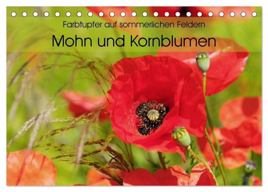 Farbtupfer auf sommerlichen Feldern - Mohn und Kornblumen (Tischkalender 2026 DIN A5 quer), CALVENDO Monatskalender - Anja Frost