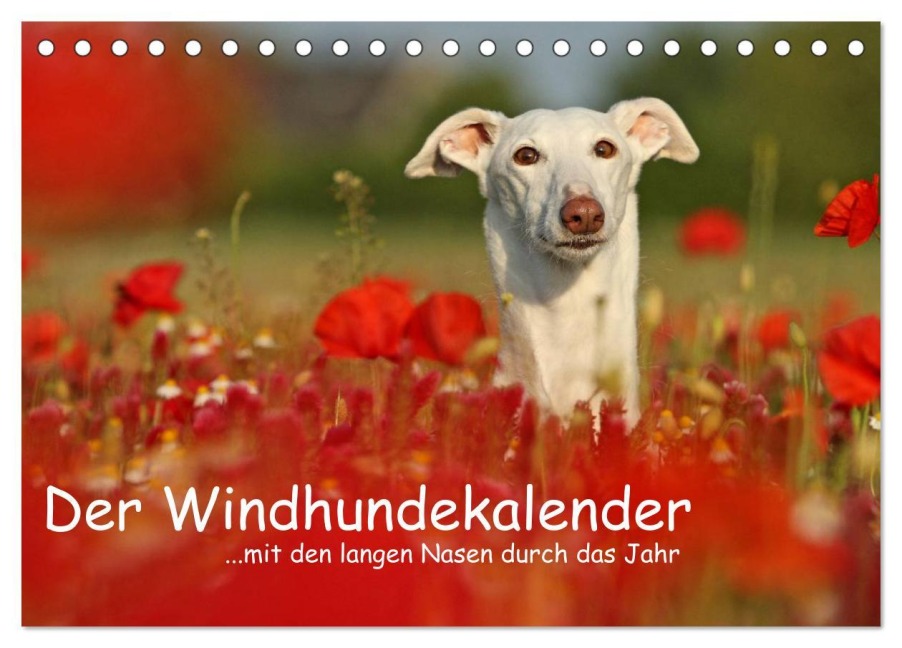 Der Windhundekalender (Tischkalender 2025 DIN A5 quer), CALVENDO Monatskalender - Kathrin Köntopp