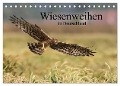 Wiesenweihen in Deutschland (Tischkalender 2025 DIN A5 quer), CALVENDO Monatskalender - Martin Wenner