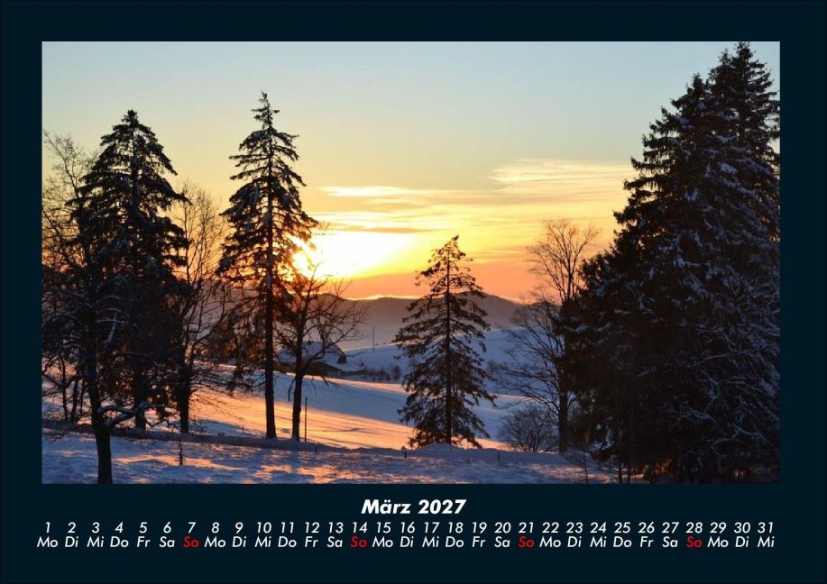 InsideView 7