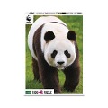 Ambassador - Pandas 1000 Teile - 
