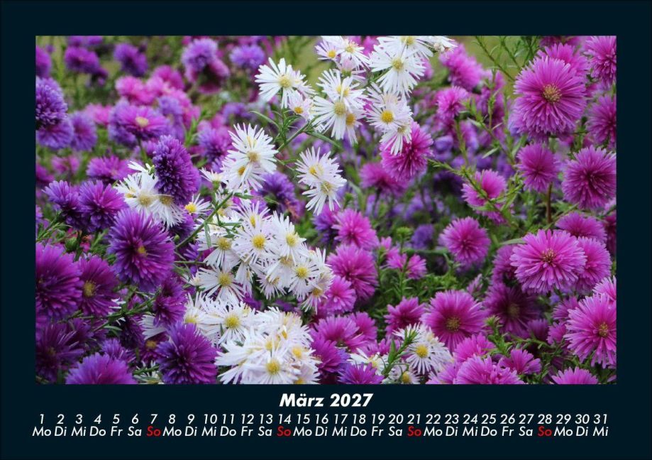 InsideView 7