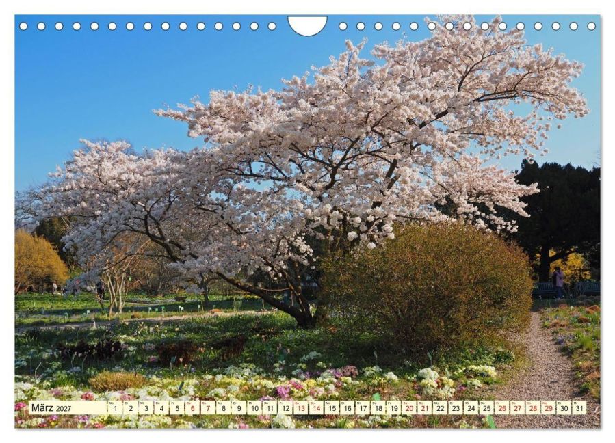InsideView 8