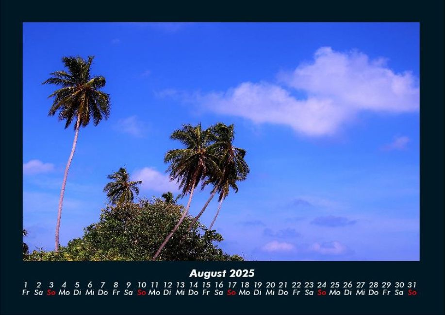 InsideView 12