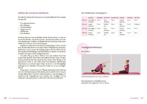 InsideView 6
