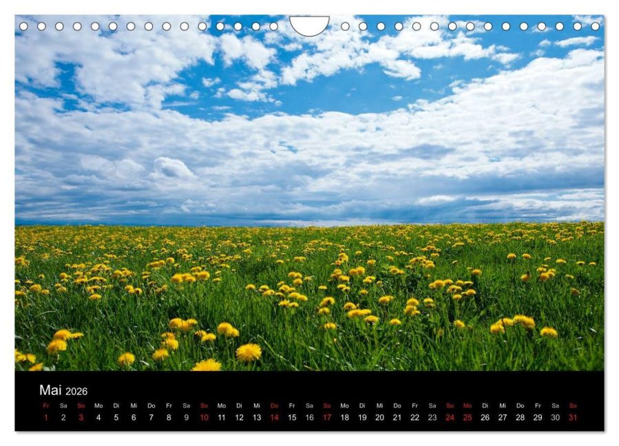 InsideView 10