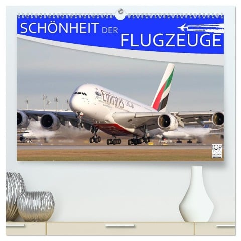 Schönheit der Flugzeuge (hochwertiger Premium Wandkalender 2025 DIN A2 quer), Kunstdruck in Hochglanz - Daniel Philipp