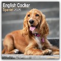 English Cocker Spaniel - Englische Cockerspaniels 2025 - 16-Monatskalender - Avonside Publishing Ltd