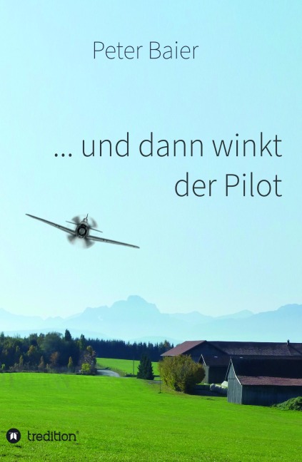 ... und dann winkt der Pilot - Peter Baier