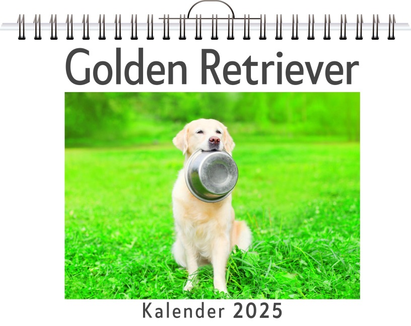 Golden Retriever - David Scholz