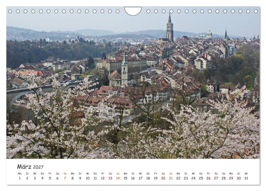 InsideView 8