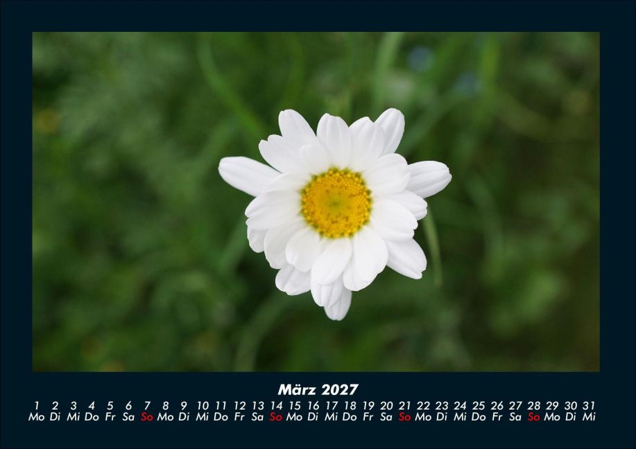 InsideView 7