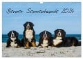 Berner Sennenhund 2024 (Wandkalender 2024 DIN A3 quer), CALVENDO Monatskalender - Sigrid Starick