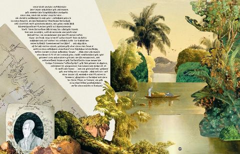 InsideView 4